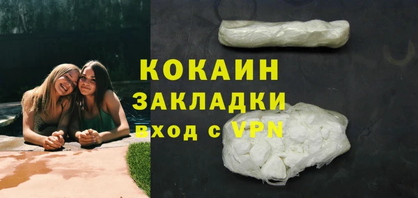 гидра Арсеньев