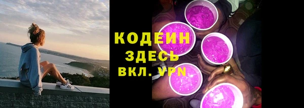 гидра Арсеньев
