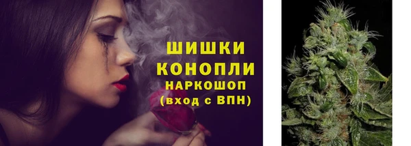 гидра Арсеньев
