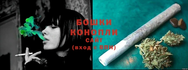 гидра Арсеньев