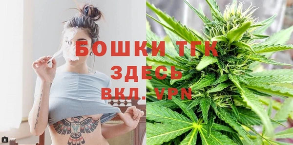 гидра Арсеньев