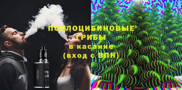 apvp Аркадак