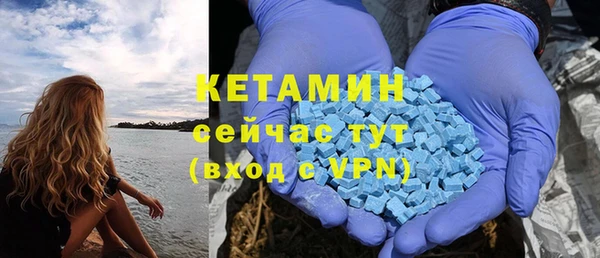 гидра Арсеньев