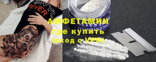 гидра Арсеньев